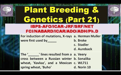 Plant Breeding and Genetics-MCQs (Part-21) for ICAR-NET/AFO/ICAR-JRF/SRF/IBPS-AFO/NABARD/HDO
