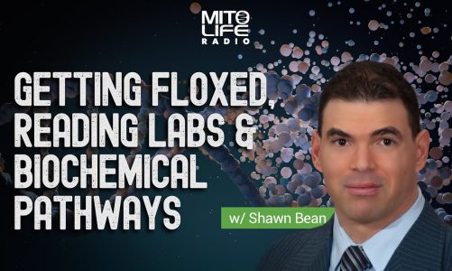 Getting Floxed, Reading Labs and Biochemical Pathways w: Shawn Bean | Mitolife Radio Ep  195