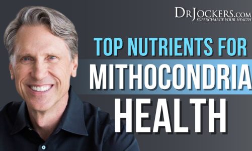 Top Nutrients For Mitochondria Health