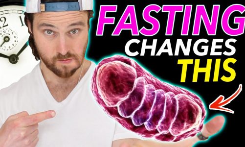 Why Intermittent Fasting May Be Magic For Mitochondria Function