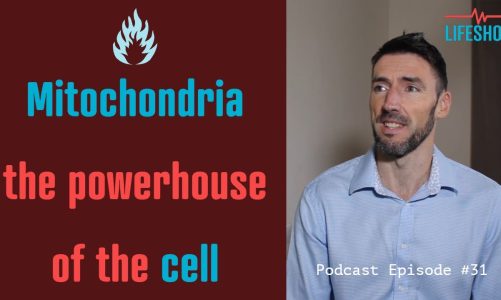 Avoid chronic illness…Mitochondria: turning on the powerhouse #31