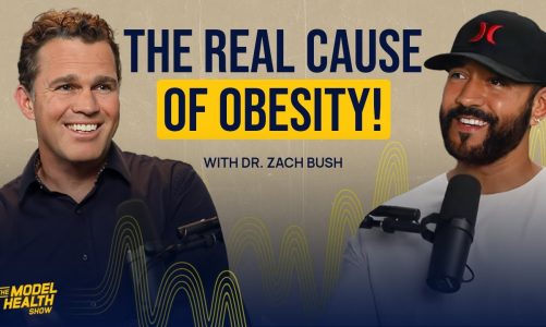 How to STOP GETTING FAT and Transform Your Health | Dr. Zach Bush