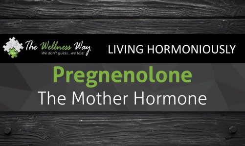 Pregnenolone: The Mother Hormone | A Different Perspective | Episode 26