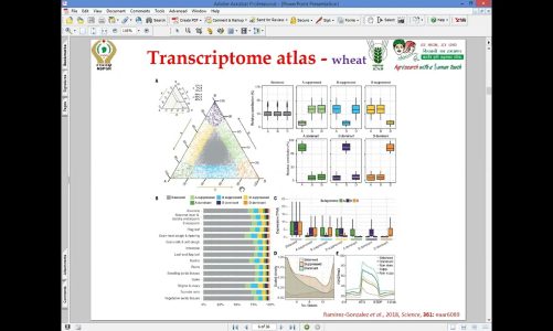 5. Transcriptome atlas-rice, International Conference On Recent Progresses held on (ICRPBS-2022)