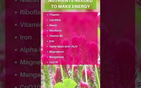 Nutrients For ENERGY #shorts