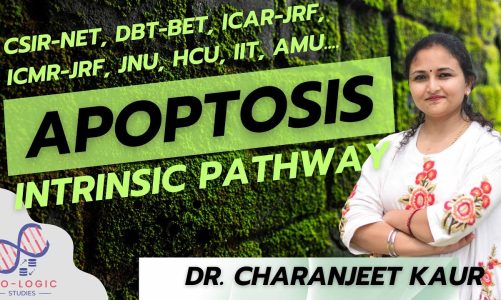 Mitochondria and caspases in apoptosis | Intrinsic Pathway | CSIR NET | Dr. Charanjeet Kaur