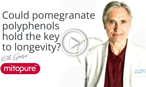 Could pomegranate polyphenols hold the key to longevity?