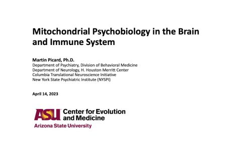 Dr Martin Picard – Mitochondrial Psychobiology in the Brain and Immune System