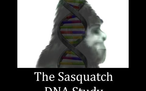 The Sasquatch DNA Study and Dr. Ketchum
