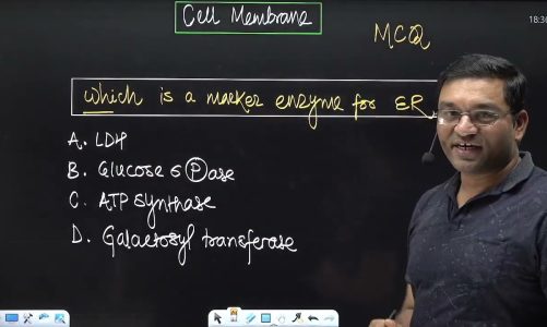 1 MCQ in 1 minute- Marker enzymes for cell organelles