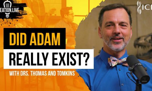 Is Adam a Myth? | Creation.Live Podcast: Episode 12
