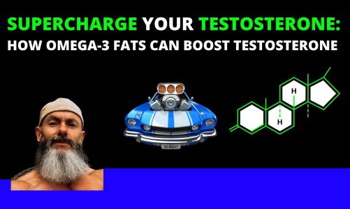 Supercharge Your Testosterone: How Omega-3 Fats Can Boost Testosterone