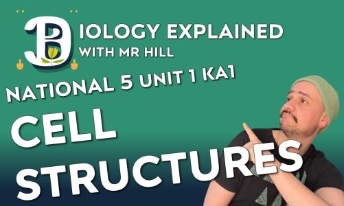 National 5 Biology Revision Unit 1: Cell Structures – Biology Explained with Mr Hill