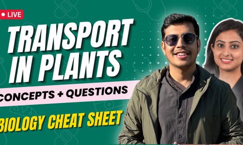 Transport  in plants | Concepts + Questions | Biology Cheat Sheet | NEET 2023 | Neetika Batra