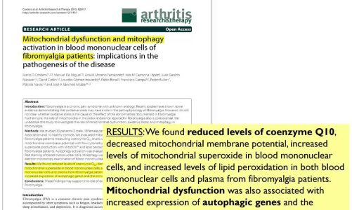 2013 ICHNFM.org — Introduction to Mitochondrial Dysfunction in Health and Disease