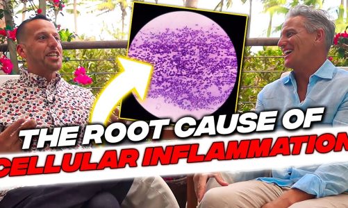 Dr. Pompa | The Root Cause of Cellular Inflammation