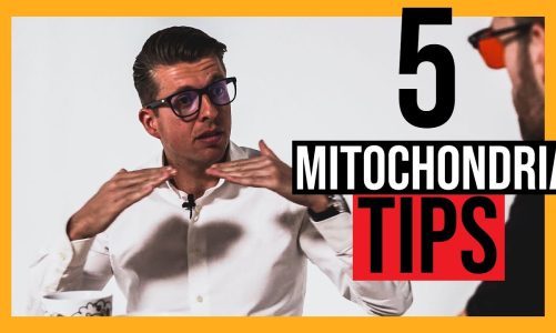 5 Tips on How To Help Mitochondria Produce MORE ENERGY