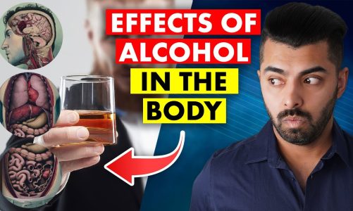 The Shocking Effects Of Alcohol On Our Bodies: What You Need To Know | NobleInasu.com