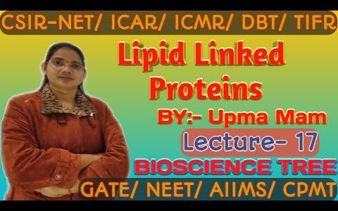 Lipid Linked Proteins Lec-17 by-Bioscience Tree