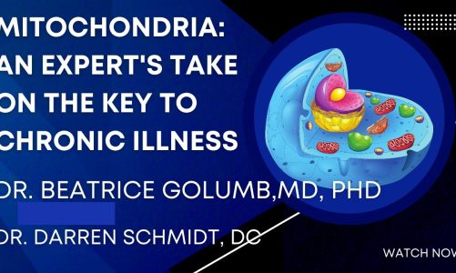 Everything You Need To Know About Mitochondria And Chronic Illness With Dr. Golumb