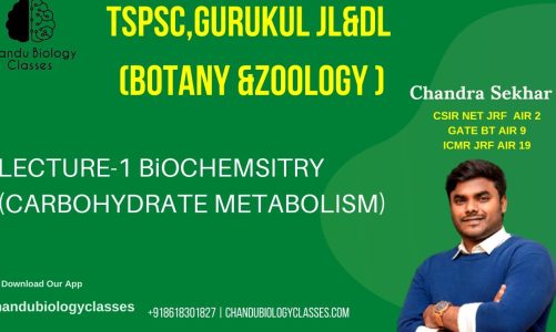 Unlock the Secrets of Life: Biochemistry Class 1 for TSPSC, Gurukul JL, DL (Botany & Zoology)