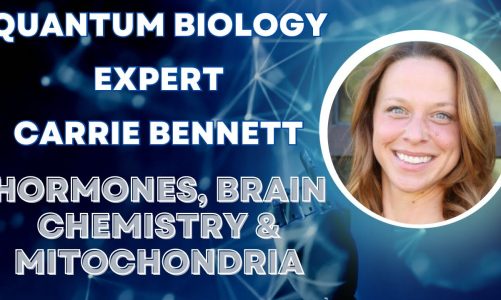 Mitochondria, Sound Therapy, Hormones,  Circadian Rhythm & Mental Health – With Carrie Bennett