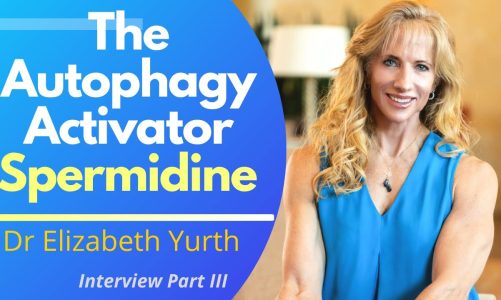 Activating Autophagy With Spermidine While Growing Muscle | Dr Elizabeth Yurth Ep3