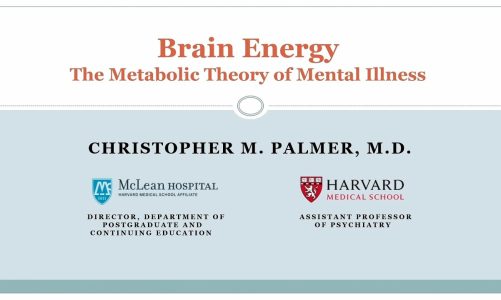 Dr. Chris Palmer presentation: Brain Energy, The metabolic Theory of Mental Illness