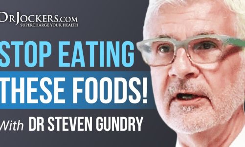 The 7 Most Inflammatory Foods with Dr Stephen Gundry