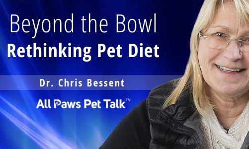 Beyond the Bowl: Rethinking Pet Diet with Dr. Chris Bessent
