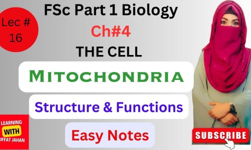 Ch#04 | The Cell | Mitochondria | The Powerhouses of the Cell, Structure, Functions and Importance