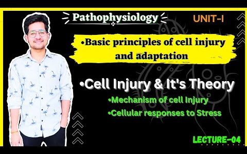 Cell Injury and it’s Theory | Mechanism of Cellular Injury | Cellular response to Stress | Lec-04 |