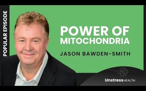 ARCHIVE | Jason Bawden-Smith: Mitochondria HQ: Nature’s Solutions