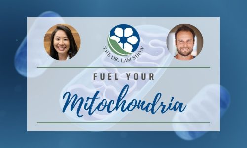 Fuel Your Mitochondria With Ari Whitten