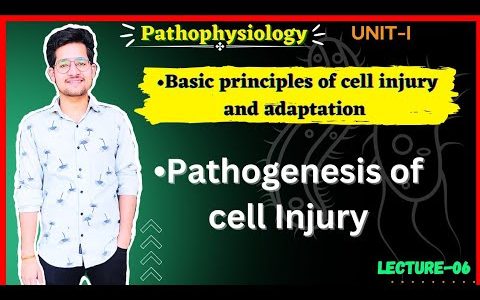 Pathogenesis of Cell Injury in Ischemia / Hypoxic condition | Pathophysiology of Cell injury |Lec-06