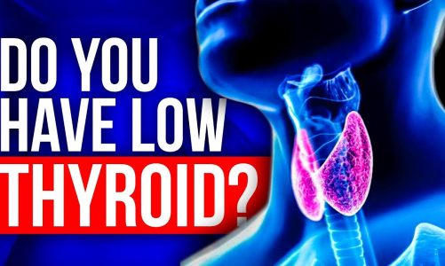 Is Hypothyroidism the Real Cause of Low Energy, Weight Gain & Premature Aging? Rejuvenate Pod Ep 9