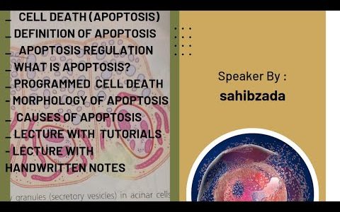 #cell death||apoptosis ||definition of apoptosis ||programmed cell death||part 1