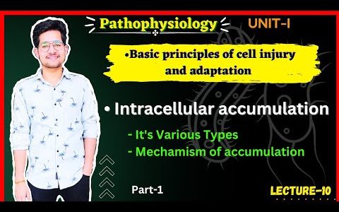 Intracellular Accumulation | It’s types, Mechanism of accumulation | Part-1 | Lec-10 |