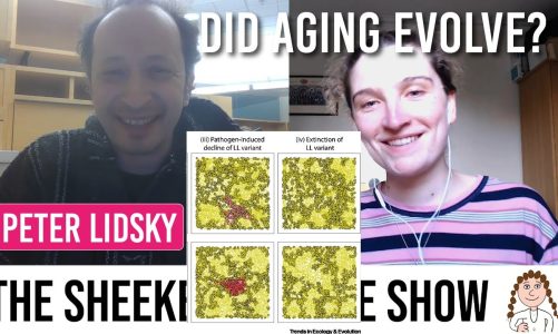 Evolution of aging – could it be adaptive? – Peter Lidsky