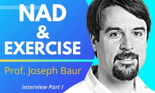 NAD & Exercise | Prof Joseph Baur Series 2 Ep1