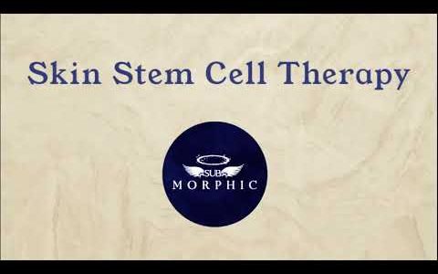 Skin Stem Cell Therapy – (Morphic Field)