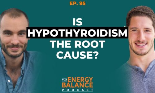 Ep. 95: Hypothyroidism In Context & Thyroid Hormone Basics (Hypothyroidism Part 1)