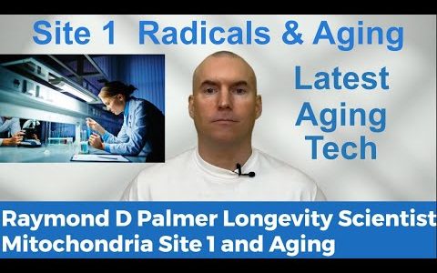 Site 1 Free Radicals and Aging