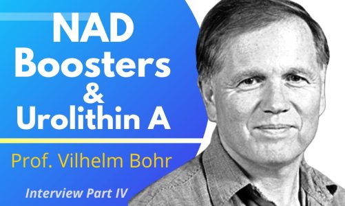 NAD Boosters & Urolithin A | Dr Vilhelm Bohr Ep 4/4