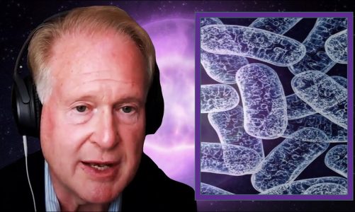 Robert Lustig on Mitochondria and Cell Renewal
