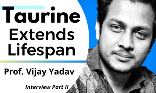 Taurine Extends Lifespan The Lead Author Explains | Prof Vijay Yadav Ep2