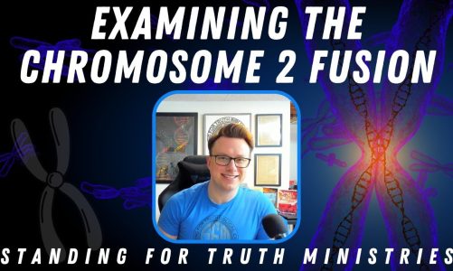 Demolishing the “Best” Evidence for Evolutionism: Chromosome 2 Fusion & ERVs | Refuting the Critics!