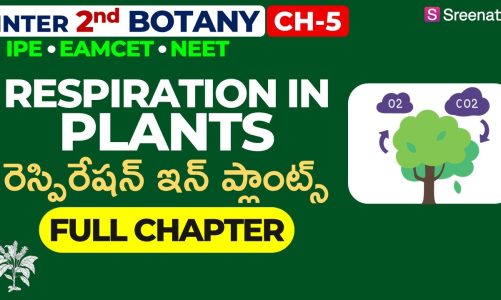 Respiration in Plants: Full Chapter in తెలుగు  | TS/AP Inter 2nd Year Botany | Chapter 5 | Sreenath