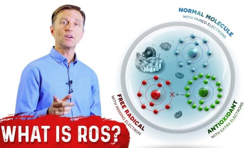 What Are Reactive Oxygen Species (ROS)? – Dr. Berg