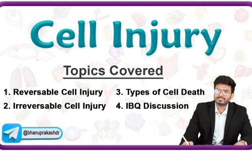 🔬 Reversible & Irreversible Cell Injury | Cell Death and Its Types | Pathology Lecture – 1